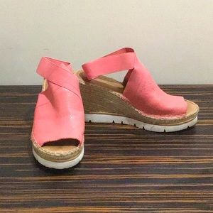 Gentle Soul Salmon Wedges